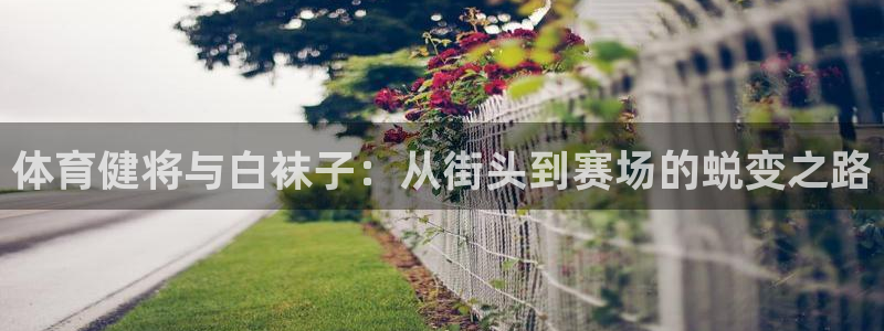 米兰体育网站