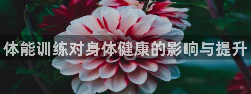 米兰体育网页版登录
