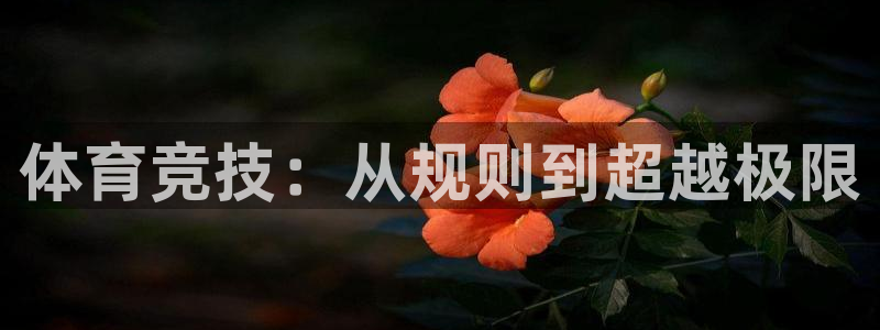 米兰体育官网