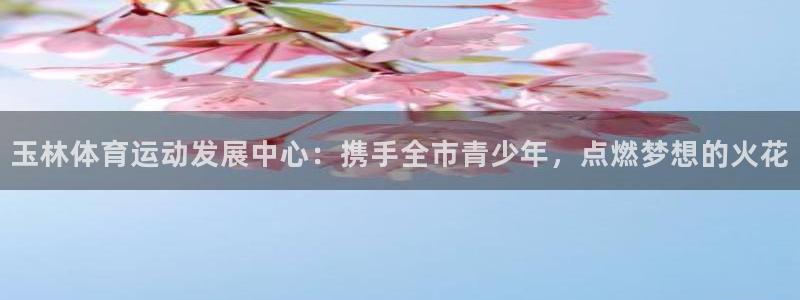 米兰体育网址