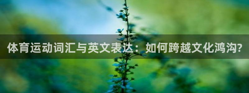 米兰体育app